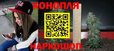 прущие грибы Усть-Джегута