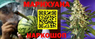 прущие грибы Усть-Джегута