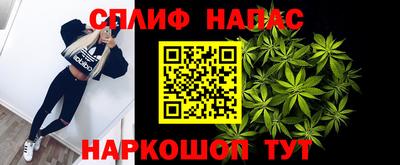 прущие грибы Усть-Джегута