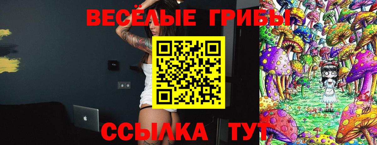 Галлюциногенные грибы Psilocybine cubensis Волжский