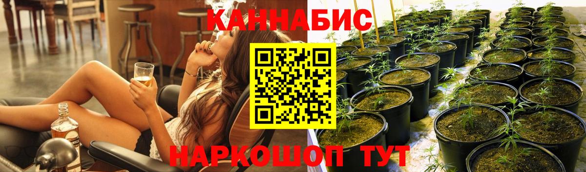 Волжский  Каннабис SATIVA & INDICA  МАРИХУАНА индика  Вход с VPN  Канабис White Widow 